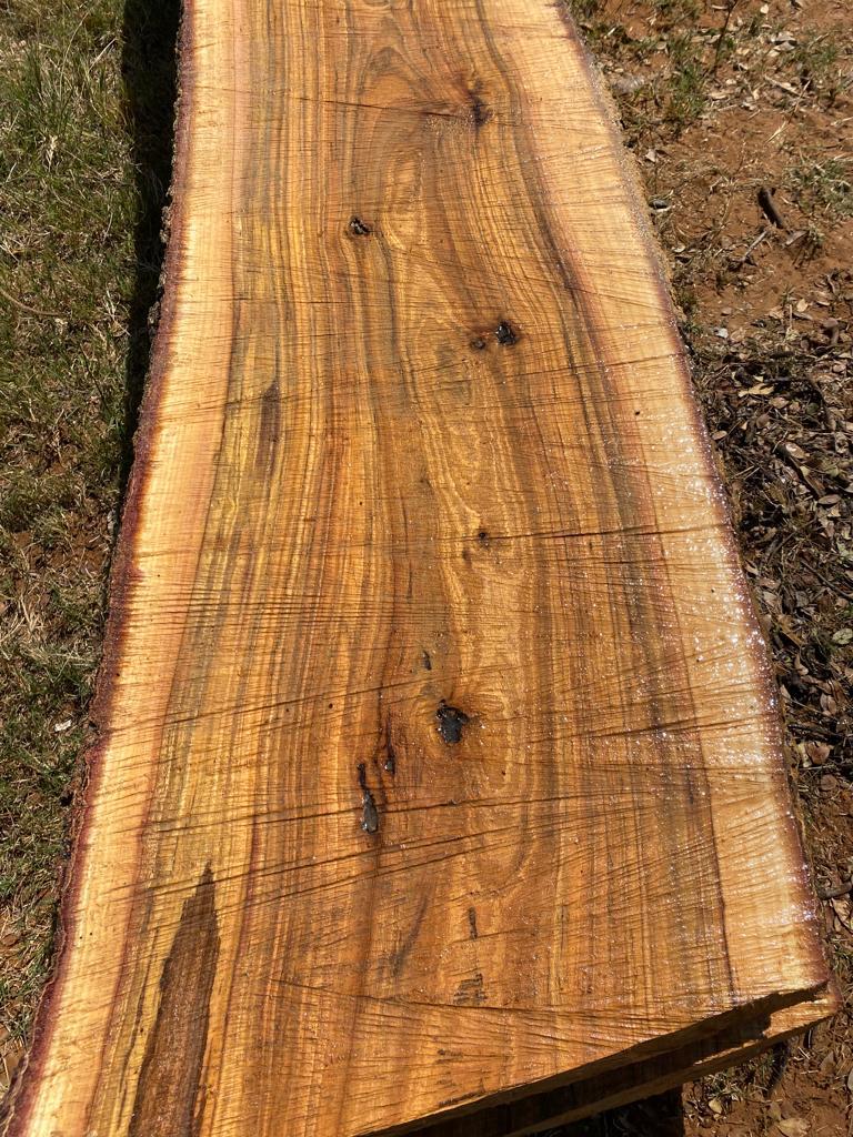 Live Edge Hard Wood Slabs